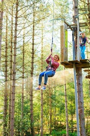 Go Ape Bracknell