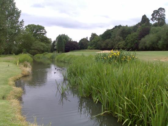 Downshire Golf Complex