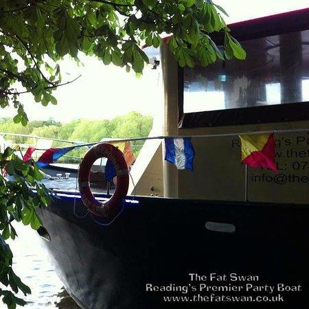 The Fat Swan