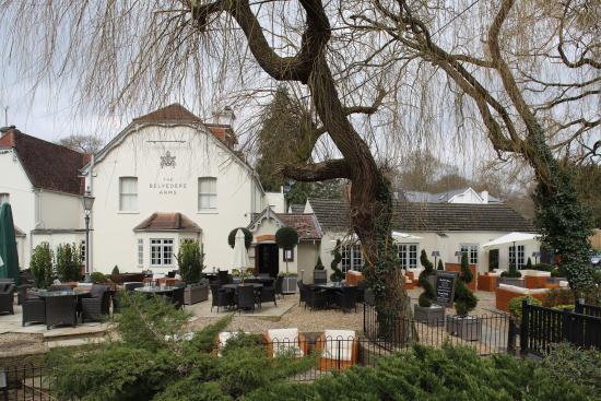 The Belvedere Arms